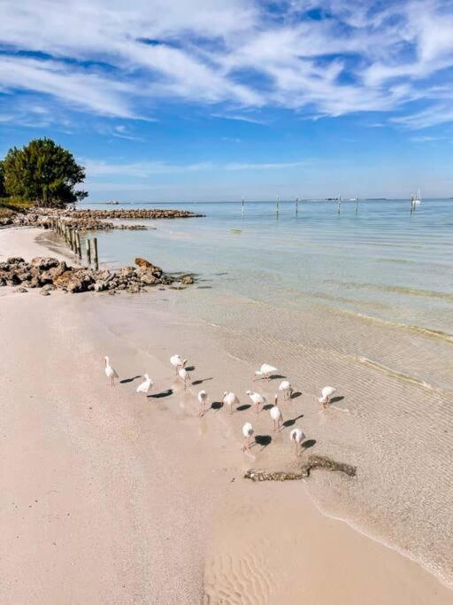 Coastal Charm Villa Bradenton Eksteriør bilde